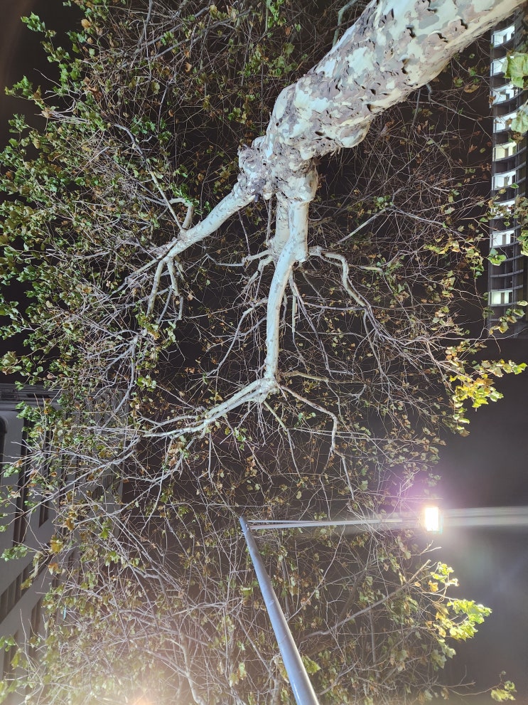  용도 속인 차금행위가 사기죄 성립하는 경우 3