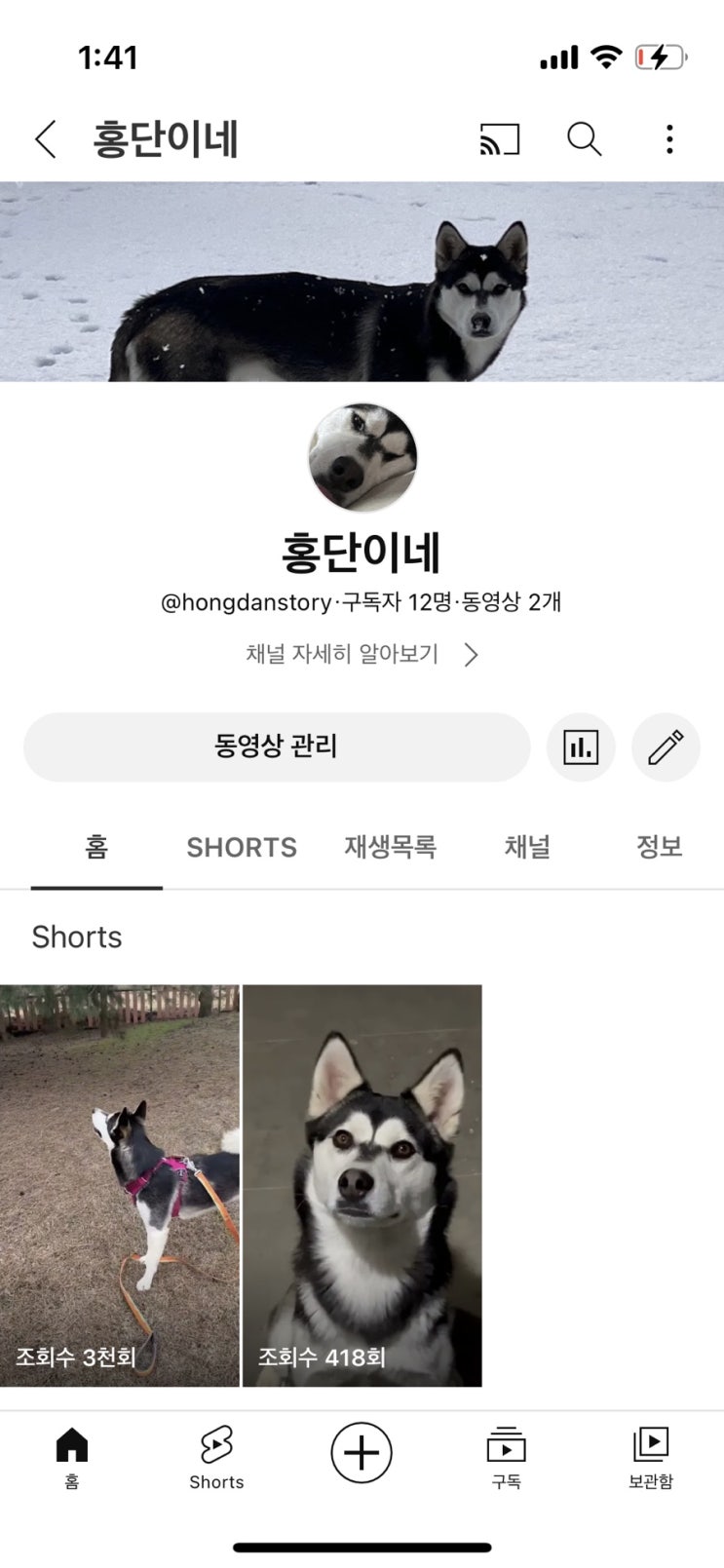  우리집 댕댕이 “홍단”