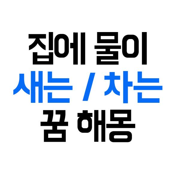 집에 물이 새는 차는 꿈 해몽 풀이