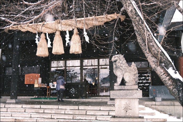 [홋카이도 삿포로 오타루 가볼만한곳] 오타루역 주변 신궁 류구신사(Ryugu Shrine, 龍宮神社) 방문후기