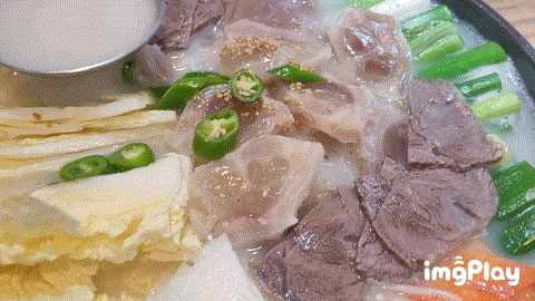  갈마동 맛집 인생곰탕 대전 도가니탕 크으 좋다아