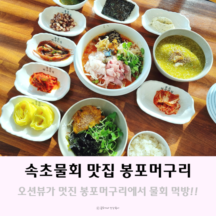 오션뷰가 멋진 속초 물회, 성게알밥 맛집 봉포머구리집 재방문 후기