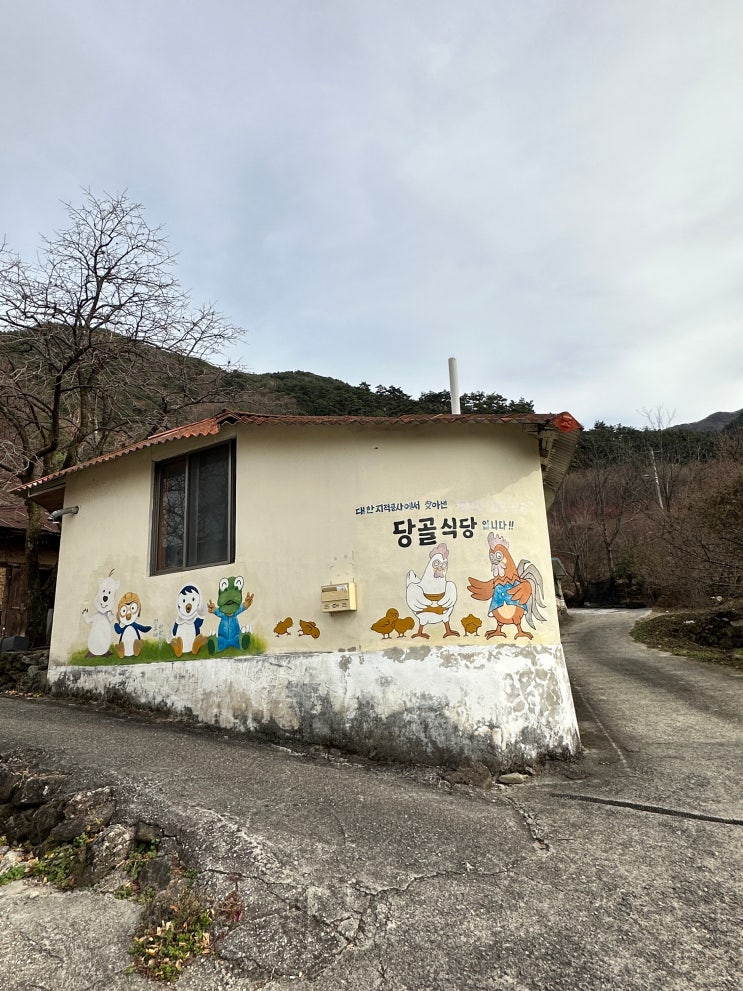  닭육회부터 산닭구이 죽까지 닭코스요리 구례 당골식당