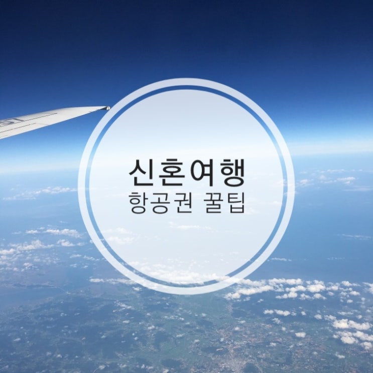  신혼여행 어디로 갈까? 자유여행 시 항공권 꿀팁