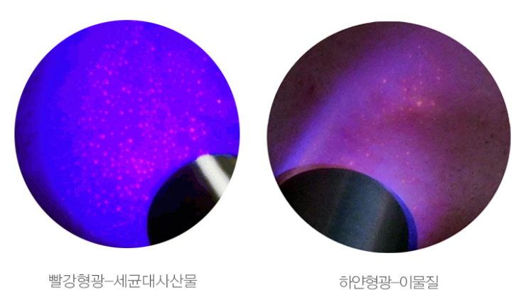  셀프피부관리 비츠케어