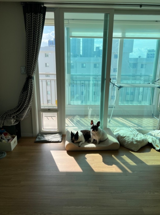  베란다 펫도어 설치 후기-고양이,강아지 키우시면 주목!!