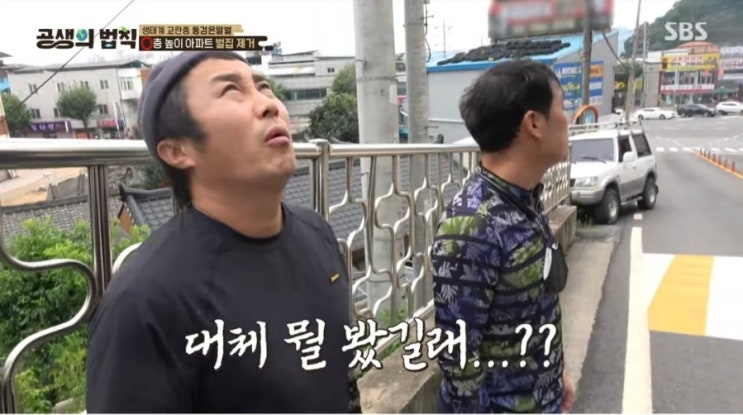 공생의법칙2 촬영잘하고 방송도 잘나왔네요 공생의법칙2 촬영잘하고 방송도 잘나왔네요