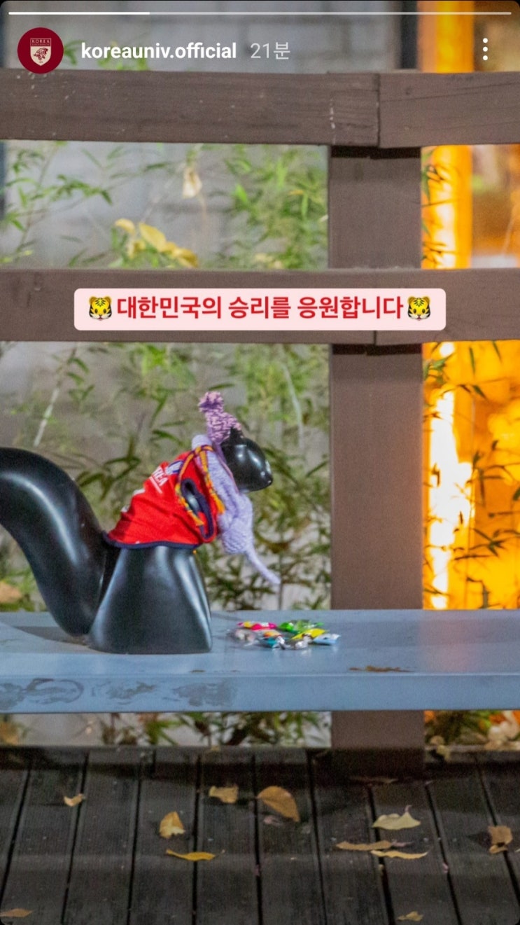  월드컵 얘기로 가득했던 KMBA 네 번째 학기(2022학년 2학기) 14주 차 후기