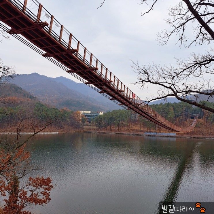  파주) 마장호수 출렁다리 드디어 성공! (순환 둘레길 개통)