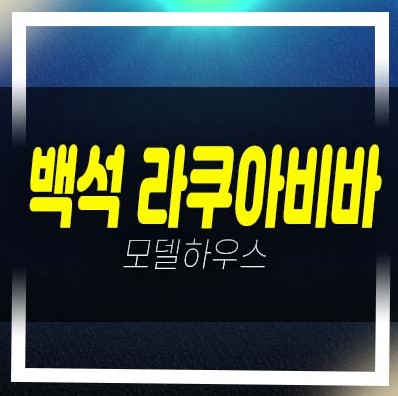  2022-12-11 천안 라쿠아비바 백석동 수산물센터 아쿠아 테마형 상업시설 분양가격 및 홍보관 잔여호실 문의