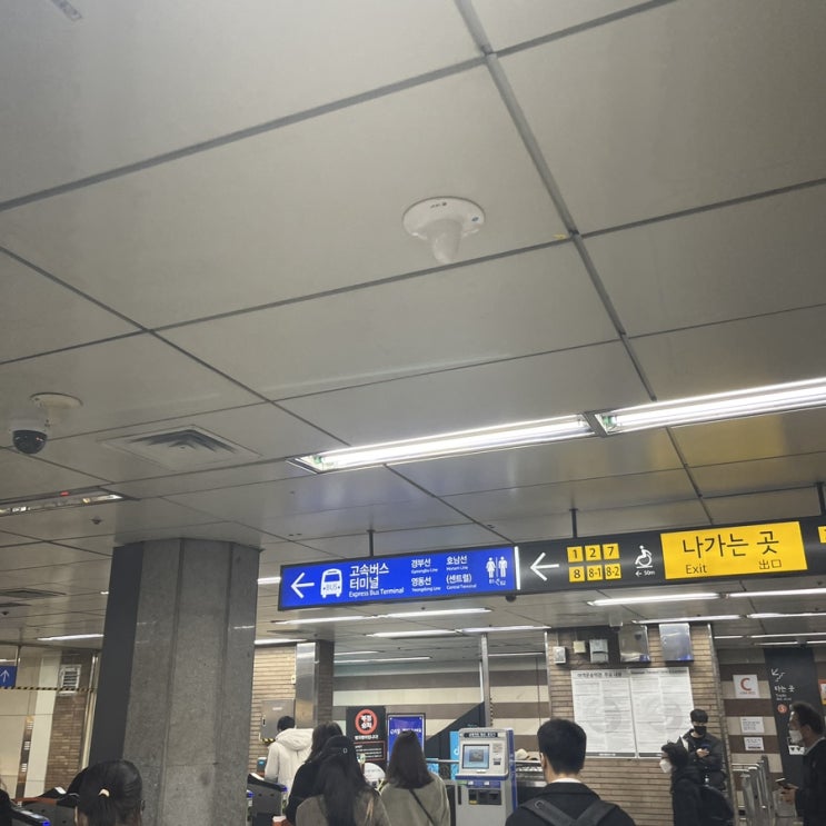  비앤씨마켓에서 크리마스마스 베이킹재료 구매하고 달콤한 케익 만들어요(고속터미널점/위치/찾아오는 길/가격/영업시간)