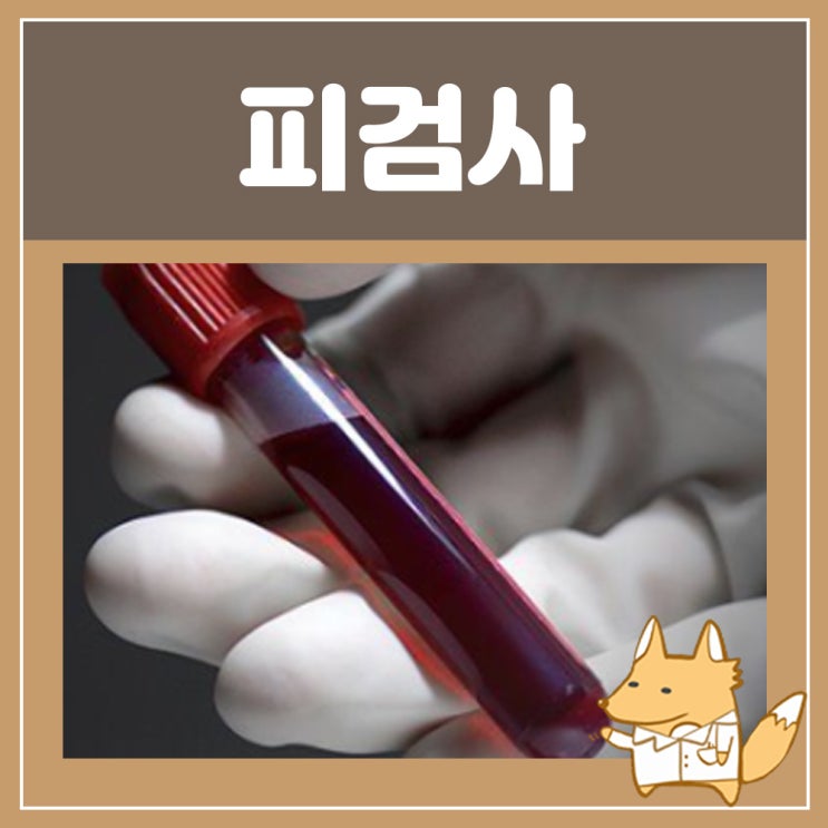 혈액검사금식 피검사로 알수있는것 : 피검사 ESR CRP RBC WBC 수치 혈액 염증수치 정상수치