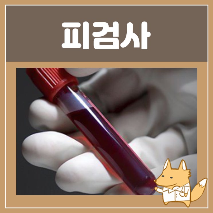  혈액검사금식 피검사로 알수있는것 : 피검사 ESR CRP RBC WBC 수치 혈액 염증수치 정상수치
