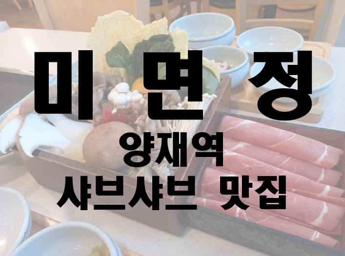  서울 3대 샤브샤브 맛집 양재역 미면정