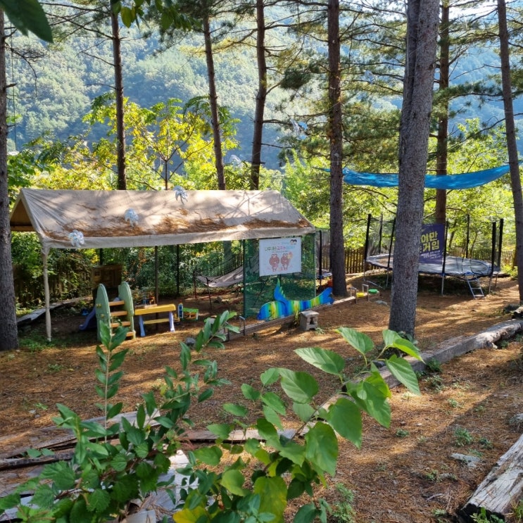  봉화 명호면 청량산 나무네숲 캠핑장 후기 진짜 진짜 좋습니다.