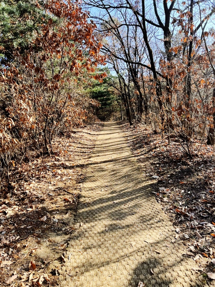  ‘산책’ 하지 않으면 나를 되돌아볼 수 없다.