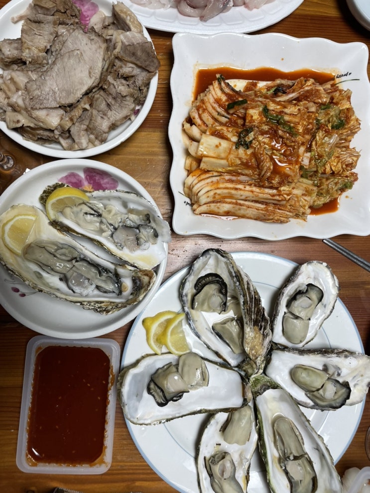  [리뷰] 굴하면 역시 통영굴 ‘바다의아들 삼배체굴’