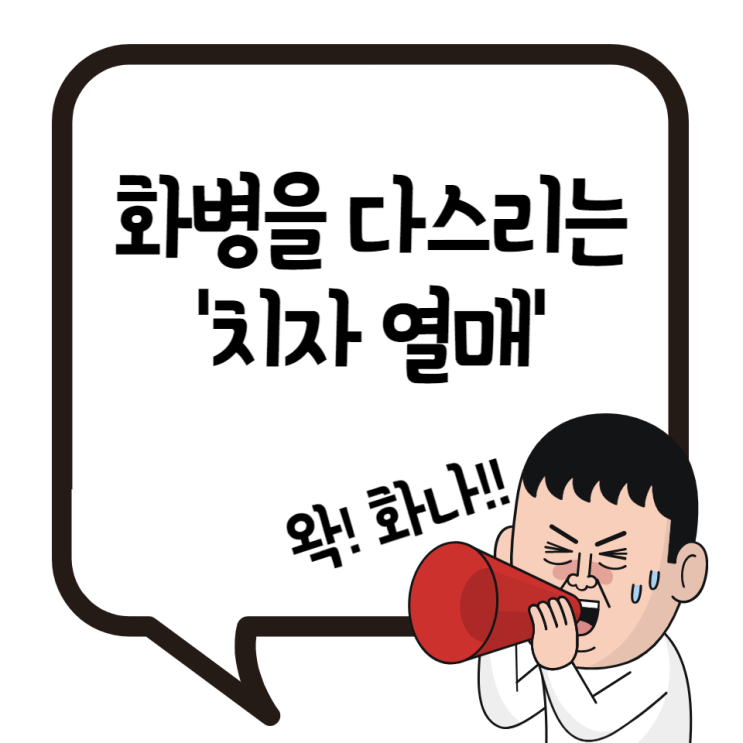 치자 효능 화병을 다스리는 치자나무 열매 치자차 먹는법 주의할점 치자 효능 화병을 다스리는 치자나무 열매 치자차 먹는법 주의할점
