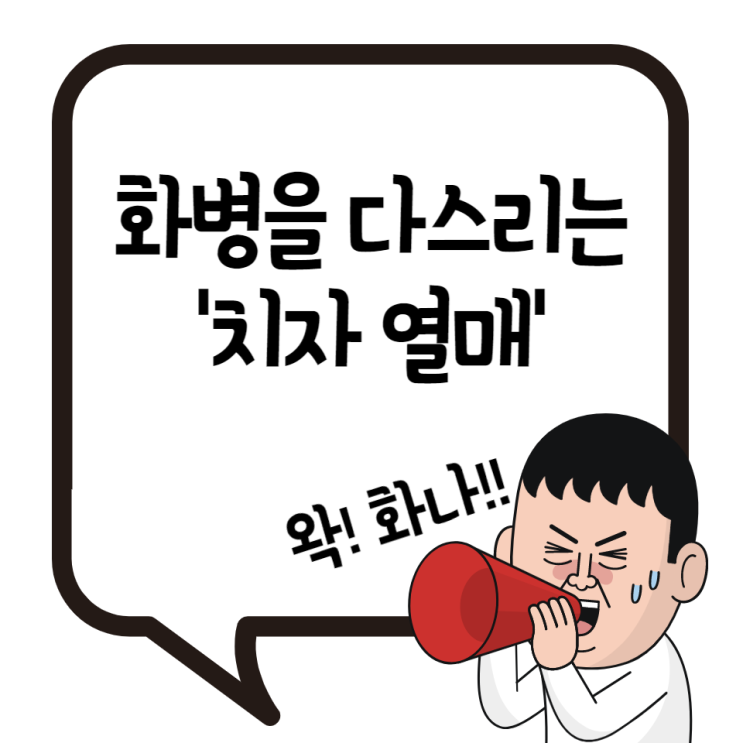 치자 효능 화병을 다스리는 치자나무 열매 치자차 먹는법 주의할점