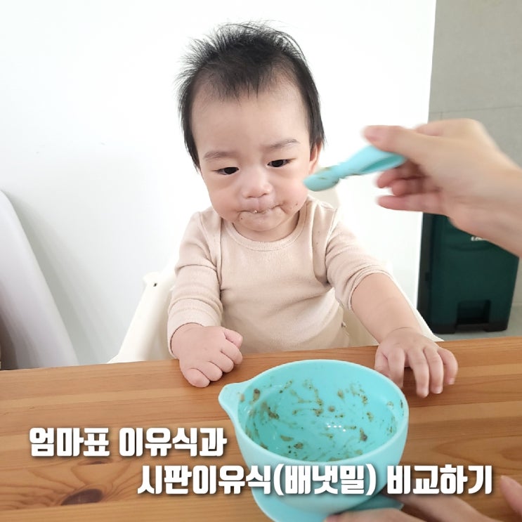  둘째맘이 비교해보는 엄마표 이유식 VS 시판 이유식 (feat.배냇밀)