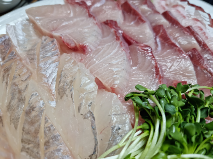  [성내동 둔촌역 회맛집 바다드림] #제철방어맛집 #우럭맛집 #통우럭매운탕맛집 #포장배달전문 #내돈내산