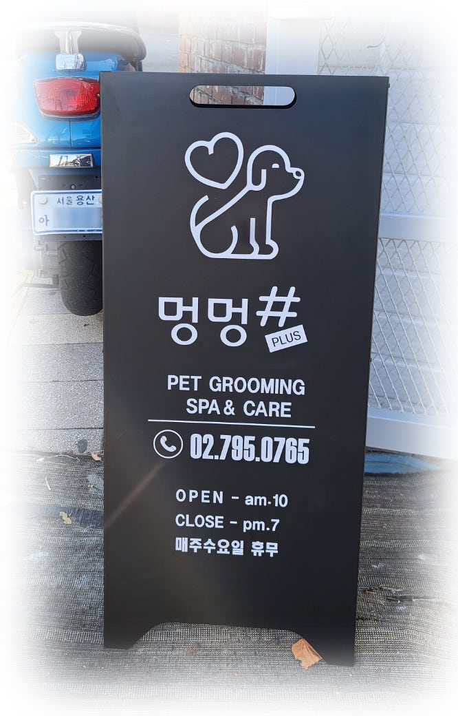 사진 2