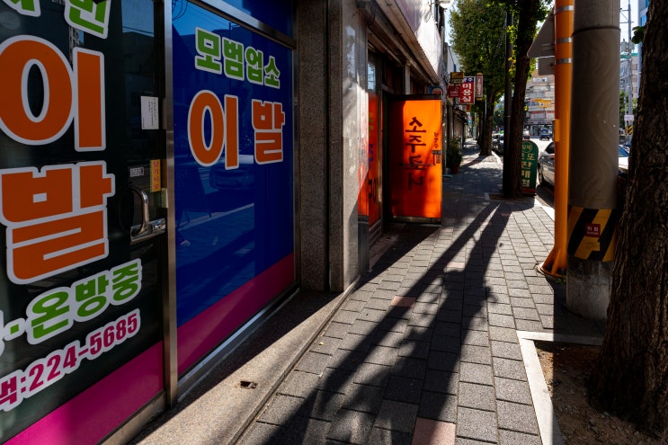  공존