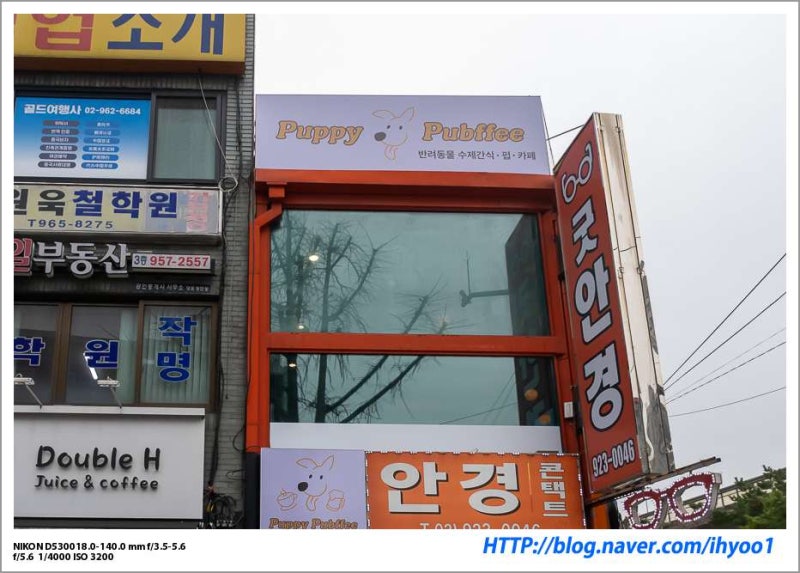 사진 6