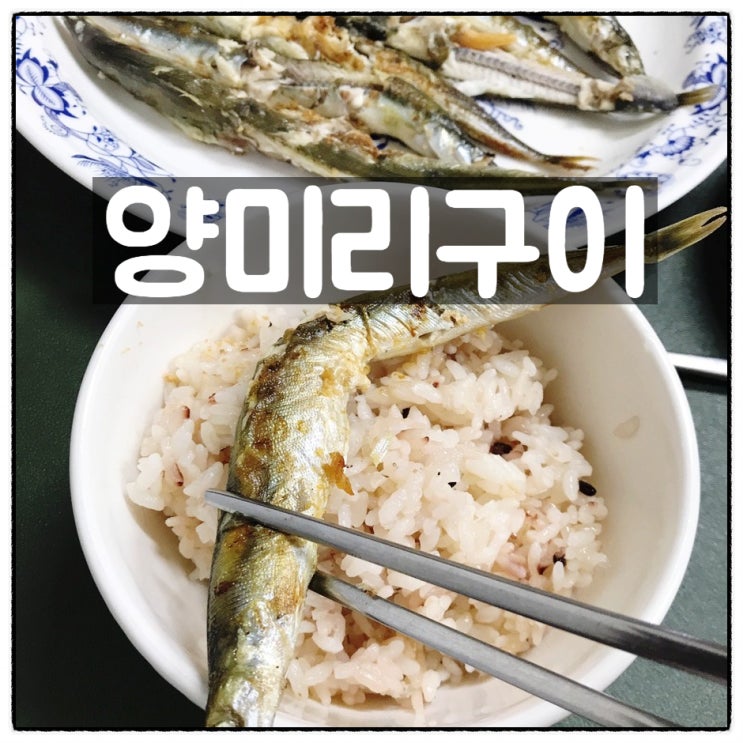  주문진농수산 강원도 햇양미리 생선구이 양미리구이 맛 후기