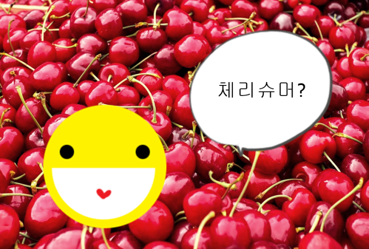  체리슈머 뜻