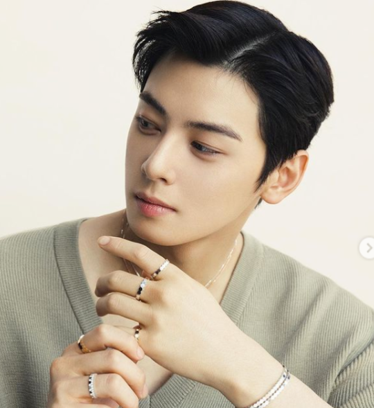  차은우 머리로보는 남자 머리 스타일 (시스루펌, 가일컷, 시스루뱅, 가일펌, 아이비리그컷)