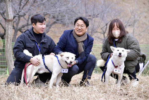  광주광역시, 풍산개 ‘곰이’·‘송강’, 우치동물원에 새 보금자리 마련