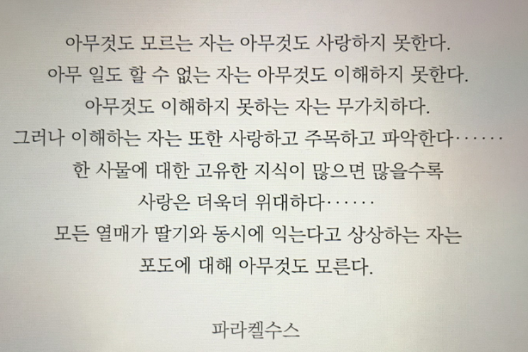  사랑의 기술