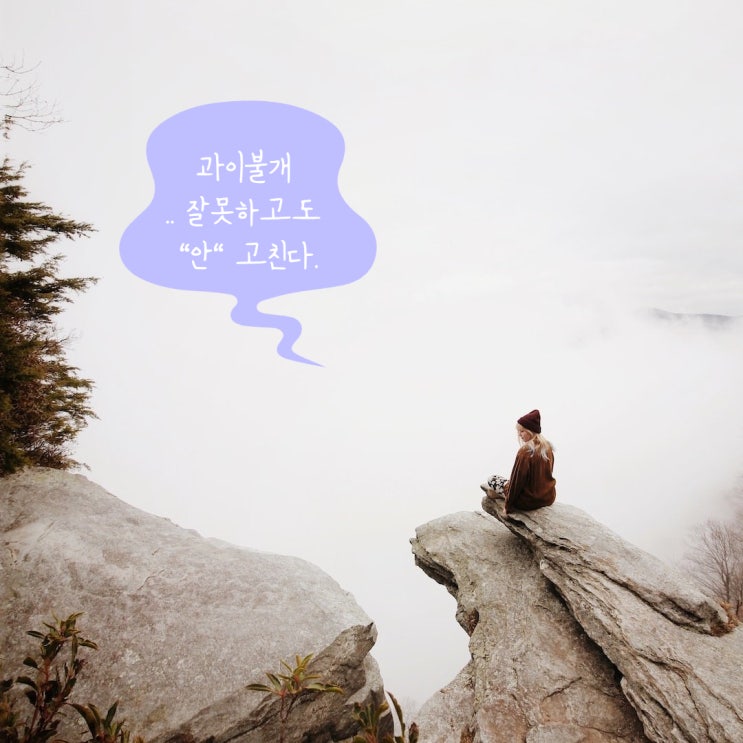  올해의 사자성어 과이불개