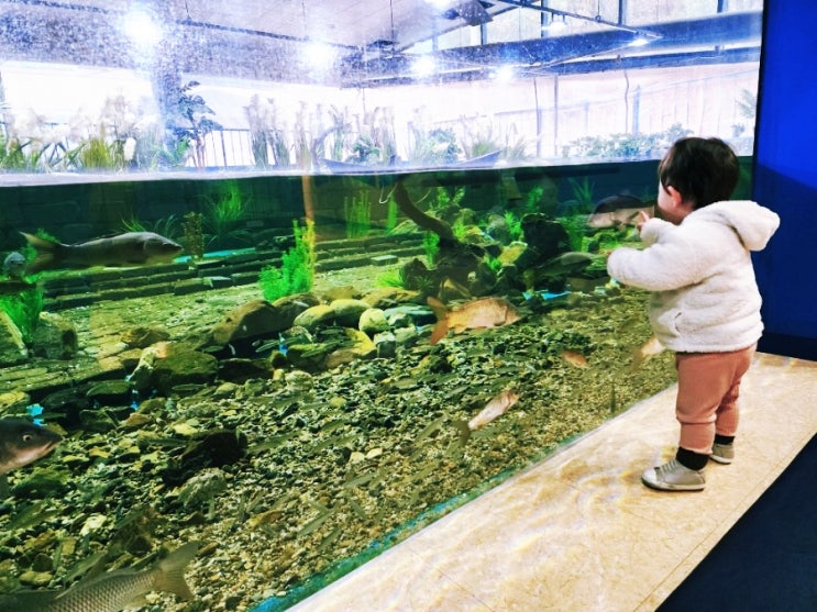  울주 아이와 가볼만한 곳 태화강생태관