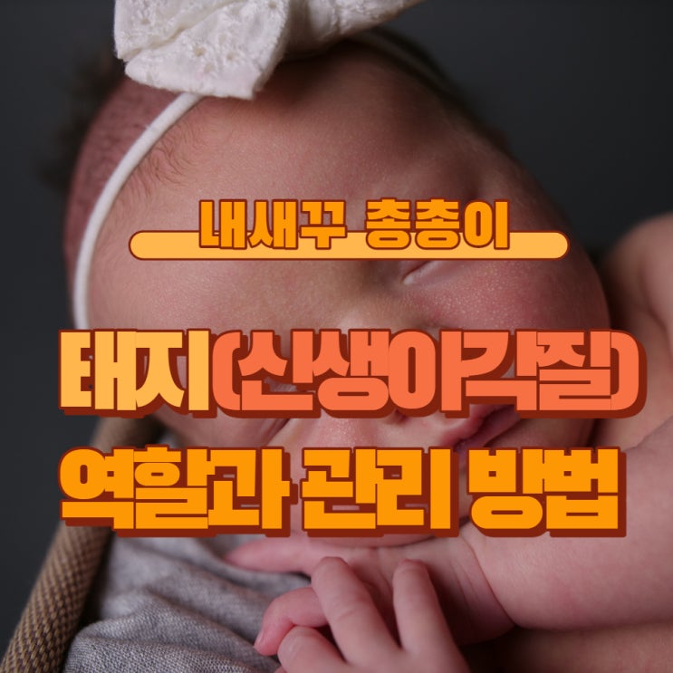  아기 신생아 태지(각질) 역할과 관리 방법 두피각질 지루성피부염