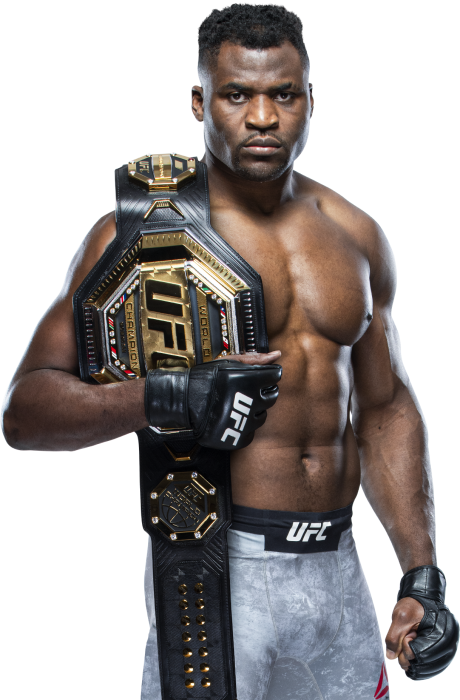  UFC 22대 헤비급 챔피언,헤비급 최강의 슬러거, 프란시스 은가노