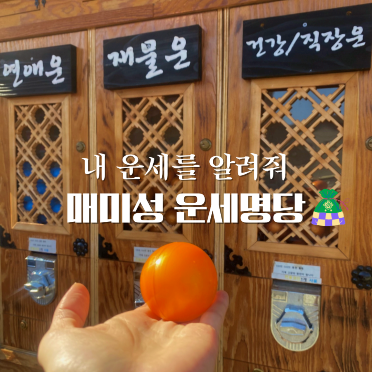 거제도 놀거리 매미성 운세명당 "내 운세를 알려줘!"