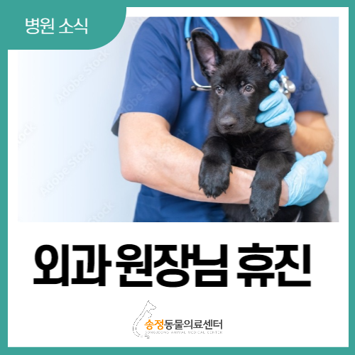  송정동물의료센터 외과 원장님 진료 휴진 안내 ( 12/9 ~ 12/14 )