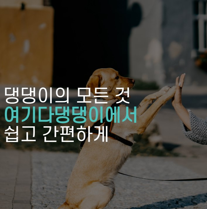  2022년 12월 여기다댕댕이펫페어 안내, 정보
