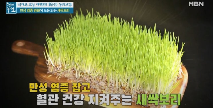  식이섬유가 풍부한 새싹보리환 장. 단점 알아보자!