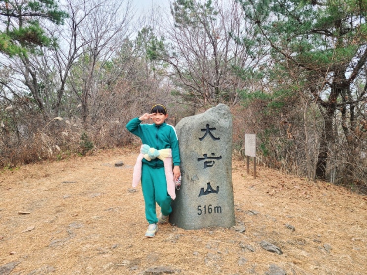 창원 등산코스 마산 대곡산 등산