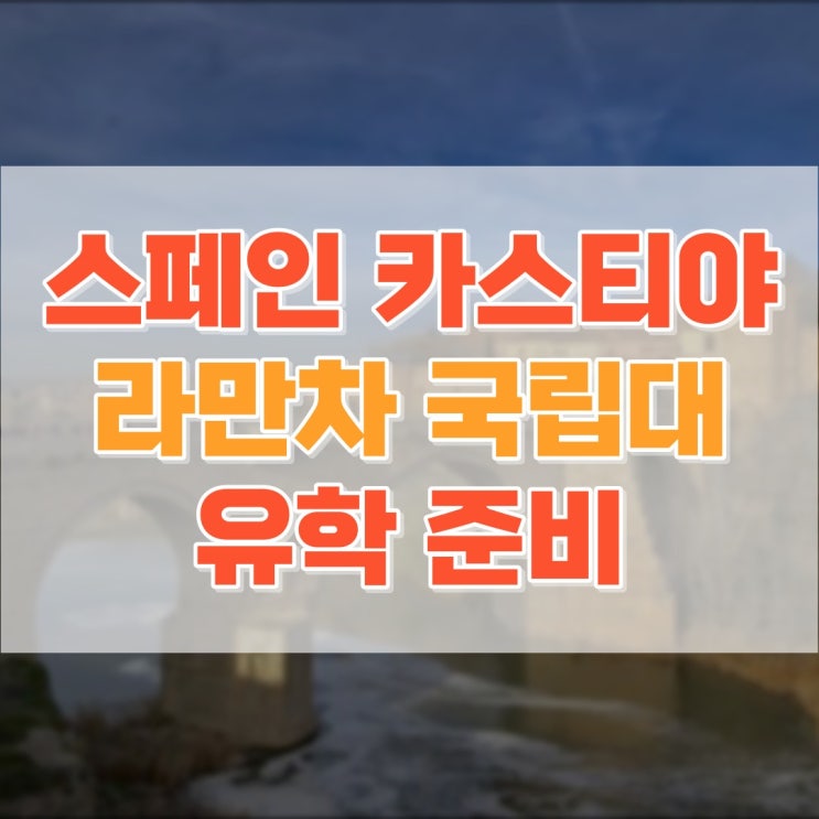  고등학생 스페인 유학 준비 스페인어 원어민 인강 배우기 대학입시까지