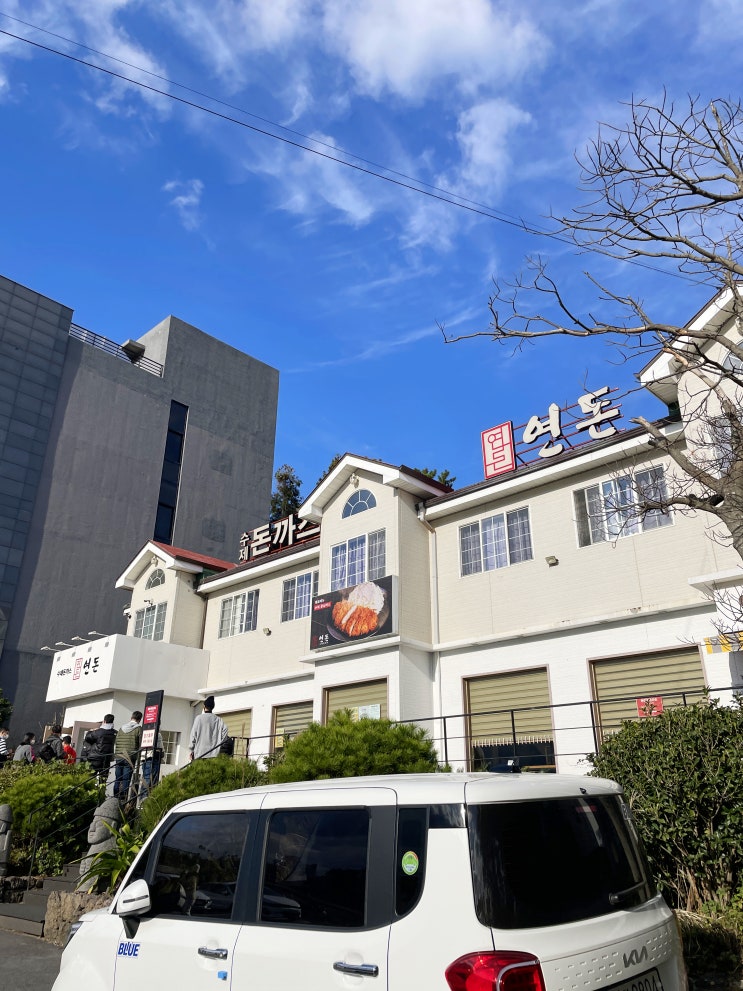  제주도 여행 - 연돈 카츠산도 예약 + 제주 동백꽃 명소 동백포레스트
