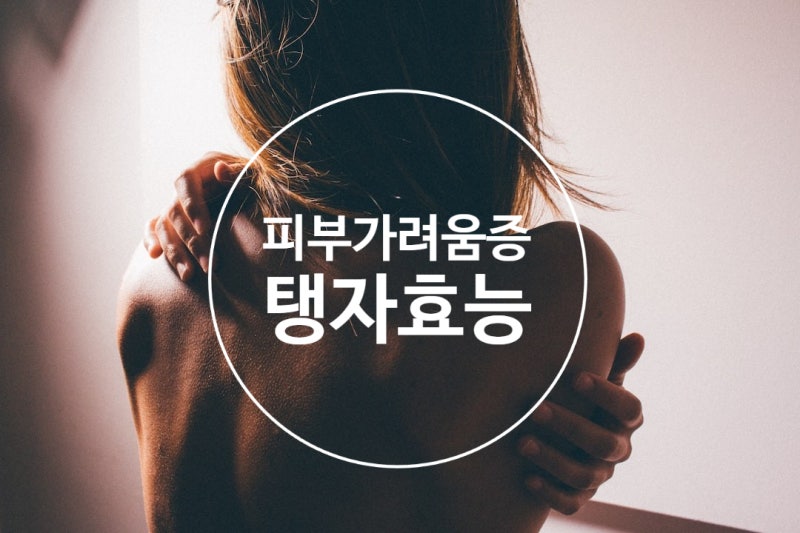 피부가려움에 도움되는 탱자효능