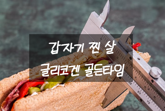  갑자기 찐 살 글리코겐 골든타임