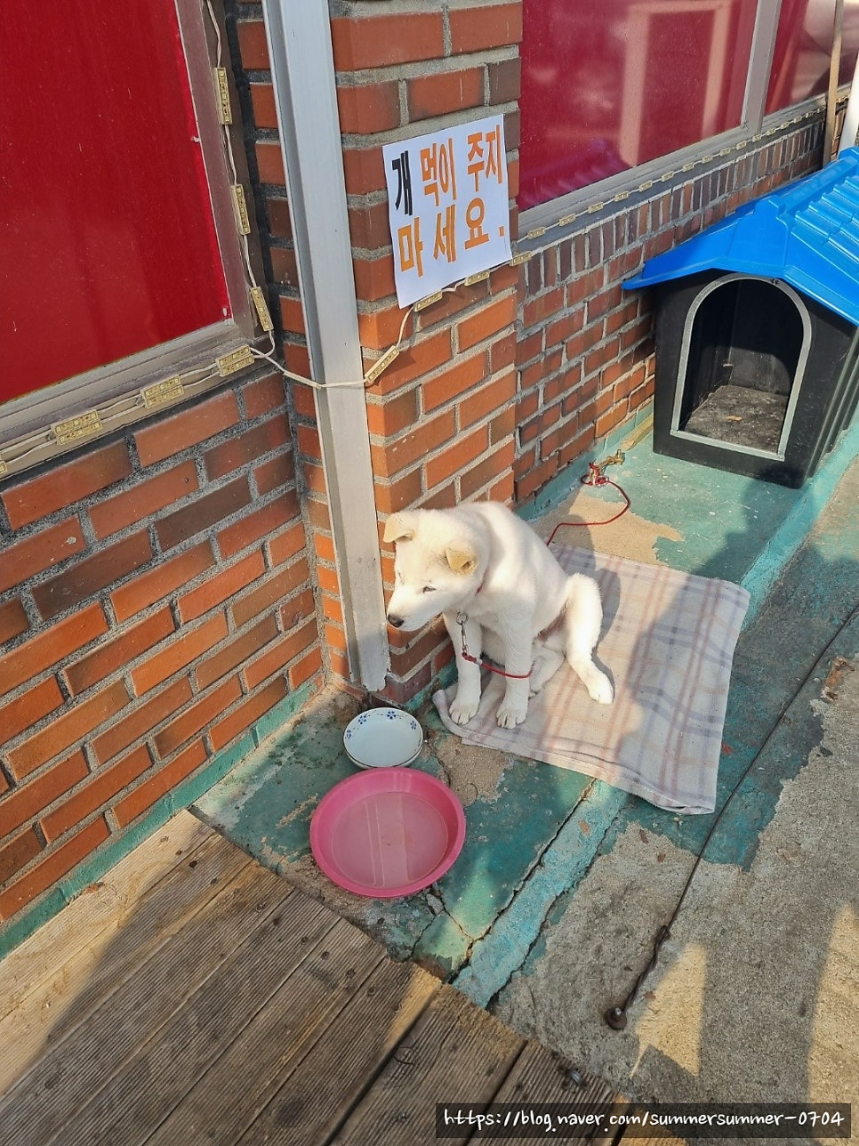 홍굴이해물짬뽕 덕산점 사진 4