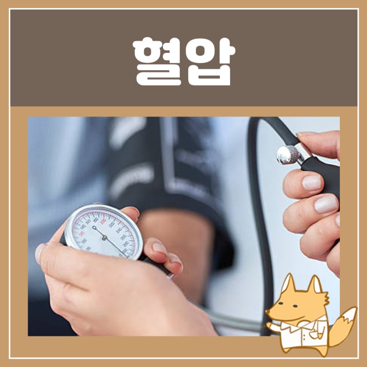  이완기 혈압 낮추는법 수축기 혈압 : 20대 고혈압
