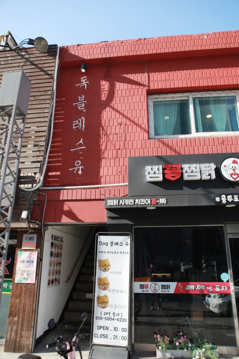 사진 2