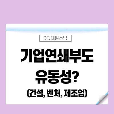  대구 보현건설 사장 도주 지역건설업 연쇄 부도 위기 (유동성)